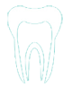 tooth